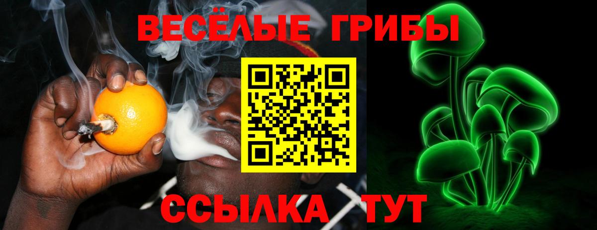 Ступино  Псилоцибиновые грибы Psilocybine cubensis  Вход с VPN 